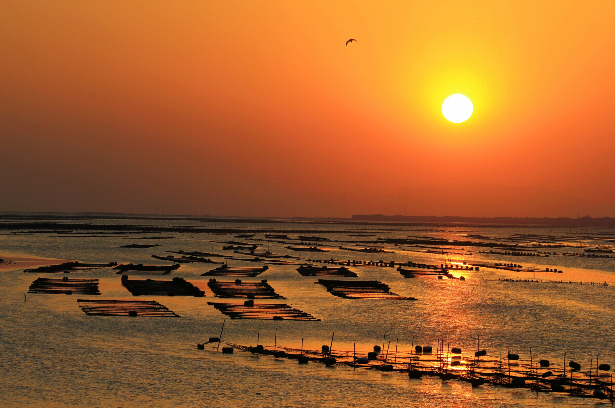 來廈門，暢游“小嶝、大擔”！