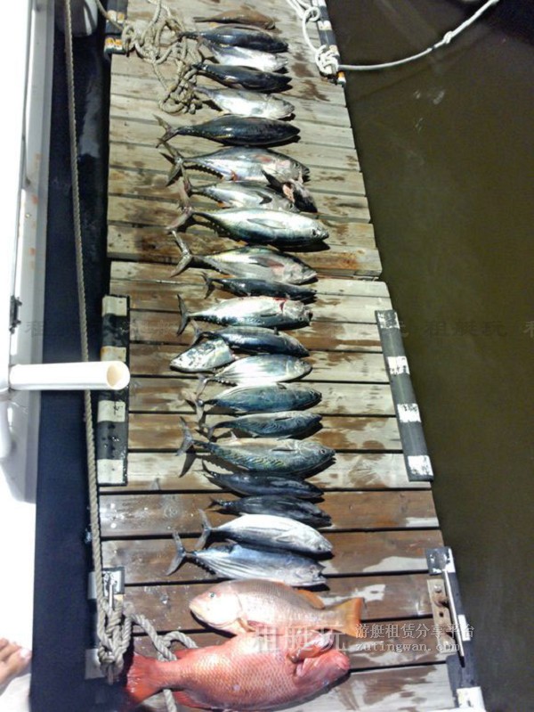 三亞海釣目的地推薦，租艘釣魚艇去海釣吧！