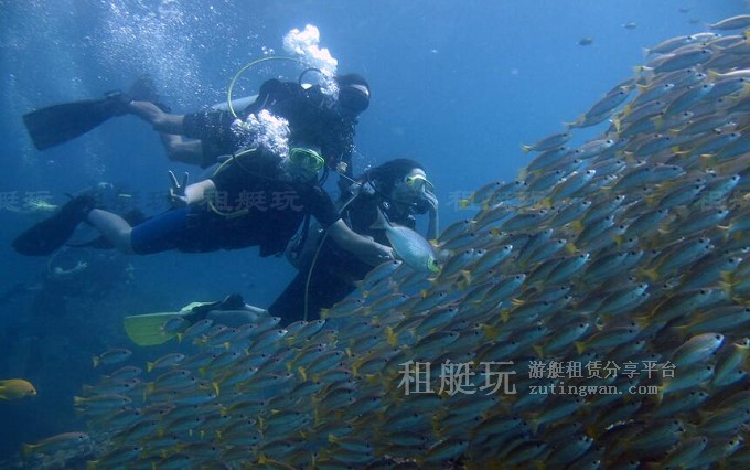 租游艇出海玩什么？十類炫酷水上玩具